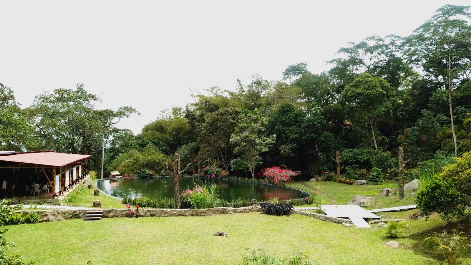 Festival Vallenato 29 de noviembre